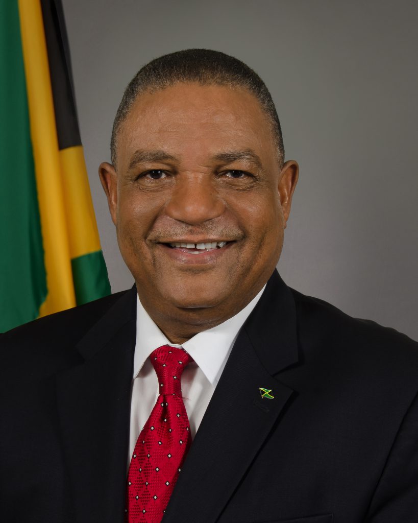 October 2002 – March 2006  Hon. Horace Dalley (PNP)  Minister of Labour and Social Security